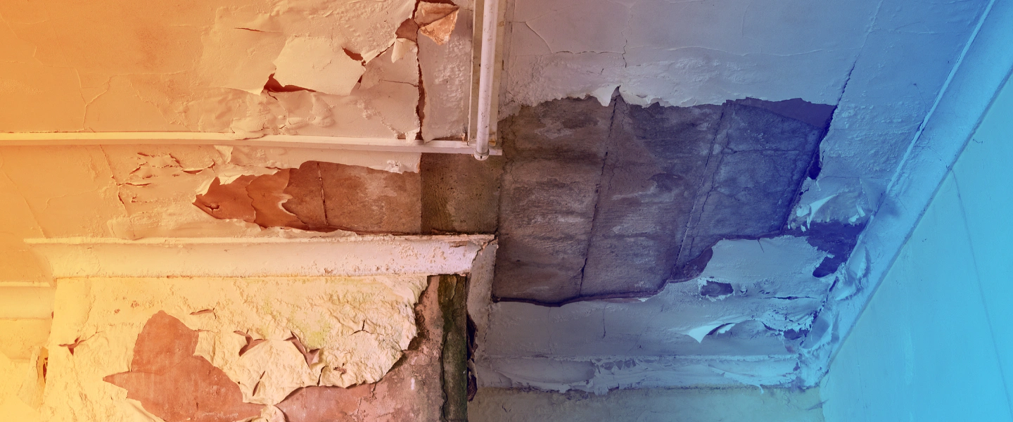 water damaged ceiling WOODLAND HILLS CA